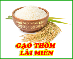 Gạo 2517